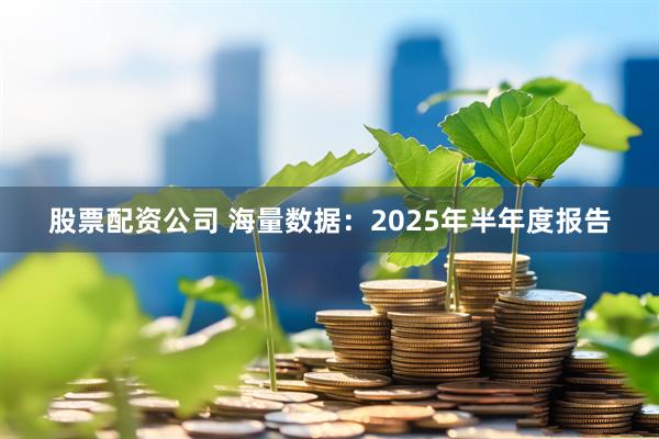 股票配资公司 海量数据：2025年半年度报告