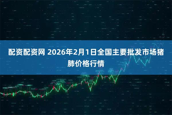 配资配资网 2026年2月1日全国主要批发市场猪肺价格行情