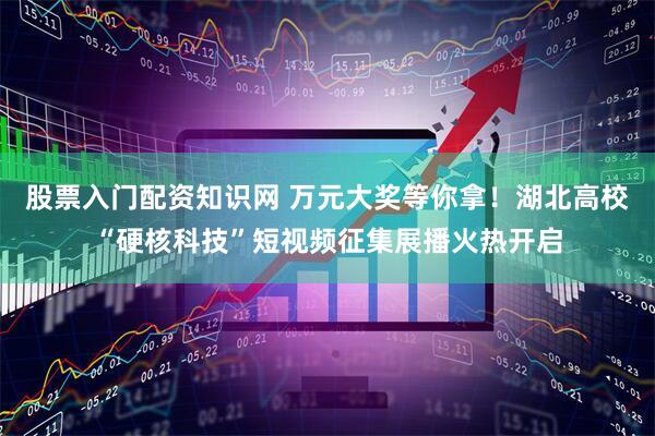 股票入门配资知识网 万元大奖等你拿！湖北高校“硬核科技”短视频征集展播火热开启